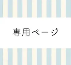 専用　トップス2点