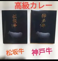 松阪牛カレー 神戸牛カレー 2種セット レトルトのサムネイル