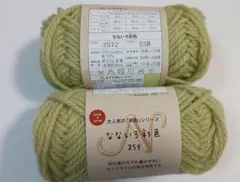 セリア毛糸　なないろ 彩色 　並太 257２　マスカット　２玉サマーヤーン