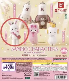 산리오 キャラクターズ 実写版ミニチュアチャーム ウィッシュミーメル