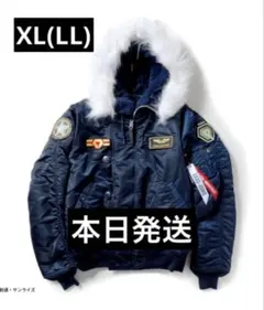 2025年最新】STRICT-G alpha n-2bの人気アイテム - メルカリ