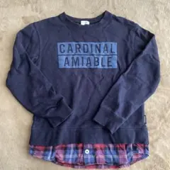 Item thumbnail for item 4b23e87c-51d4-4650-a2d5-3dc4959c3f52