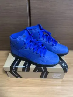 NIKE ダンク エッフェル eiffel 65 DUNK SB
