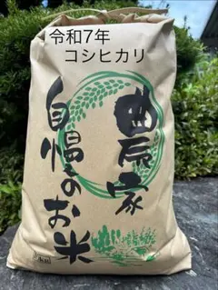 買わなきゃ損！大放出！6/7 14時〆 令和7年度長野県産コシヒカリ