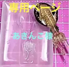 あきんこ様 リクエスト 3点 まとめ商品