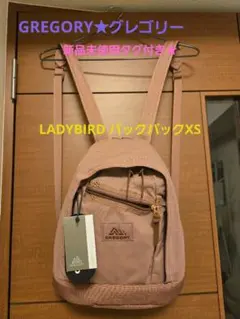【新品未使用タグ付★GREGORY】 LADYBIRD バックパック XS