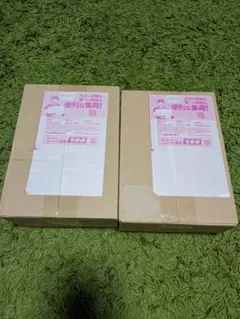 メガドリームex シュリンク付き 2BOX