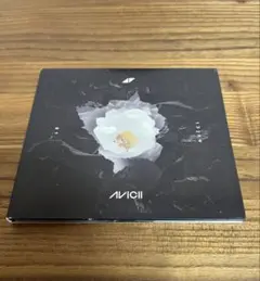 without you / avicii