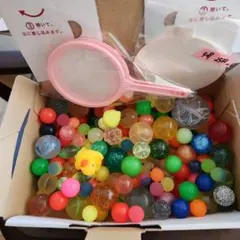 Item thumbnail for item 3ce32cd4-493b-4cdb-9d32-987ab48433c8