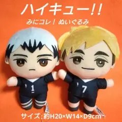 北信介 宮侑【 ハイキュー!! 】 みにコレ！ ぬいぐるみ２種 ①