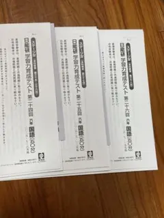 最新版 日能研 2025年6月 育成テスト - メルカリ