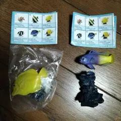 原色海水魚図鑑★フィギュアのサムネイル