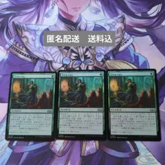 MTG 雨ざらしの旅人 ショーケース日本語版FOIL 1枚 - メルカリ