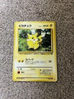 2026年最新】ジャングルピカチュウの人気アイテム - メルカリ