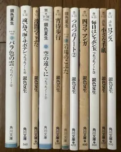 銀色夏生 文学・小説