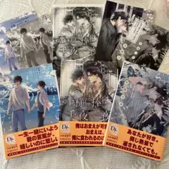 安西リカ３冊セットA 書き下ろしペーパー3枚コミコミオリジナルカード2枚