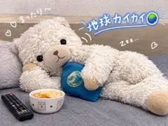 窓様送料