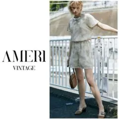 美品 AmeriVINTAGE CLOUDY PYTHON ALL IN ONEのサムネイル