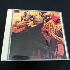 Fishbone The Reality of My Surroundings