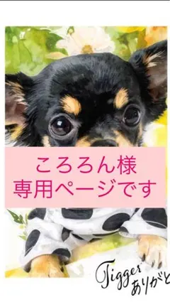 ころろん様専用ページです♪