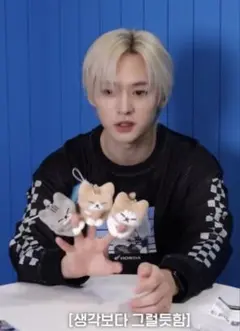 dominATE celecrATE リノ メンプロ スキズ straykids