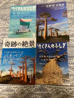 マダガスカル - 奇跡の絶景38他