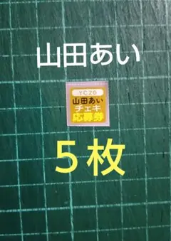 ５枚　応募券　山田あい　サイン入りチェキ　抽プレ　ヤングチャンピオン２０号