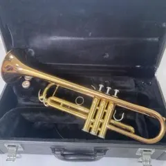 2025年最新】YTR-4335Gの人気アイテム - メルカリ