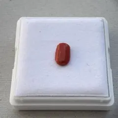 赤珊瑚　コーラル　ルース　オーバルカボション　約9×6mm　天然