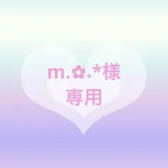 m.✿˖*様 リクエスト 3点 まとめ商品