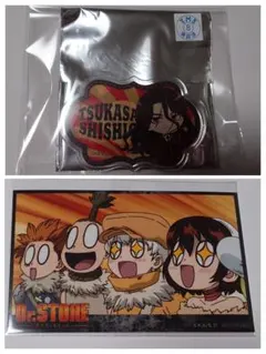 Dr.STONE アニメイトカフェ　サーカス アクリルバッジ　フォトカード