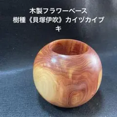 Item thumbnail for item 6ea3ce87-0e83-4d2a-8b66-1006df129bbd