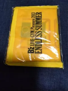 Item thumbnail for item 7a15464f-fe24-4156-905c-a524d99fcb61