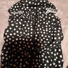 Item thumbnail for item 85264cc5-edc7-44d7-b8c7-bfc13ea6e224