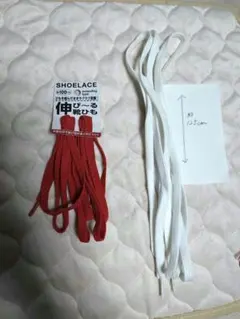 Item thumbnail for item e15a121d-e92c-4ea5-9720-6a87ba230cb6