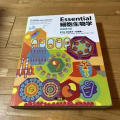 Item thumbnail for item 12baef6b-c424-4b09-8716-5281ece39c94