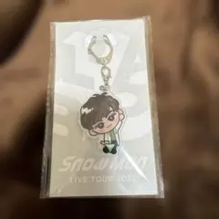 Snow Man 向井康二すのチル ぶら下がりシリーズ アクリルキーホルダー