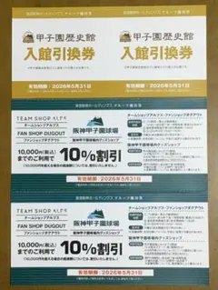 阪神タイガース優勝祈願　グループ優待券の冊子