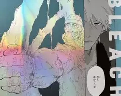 2026年最新】日番谷冬獅郎 ポスターの人気アイテム - メルカリ