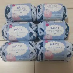あむころ MOLE YARN チルナイト 40g 6個セット