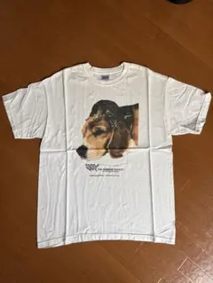 レア 猫 ネコ Cat Fruit of the Loom アート Tシャツ - メルカリ