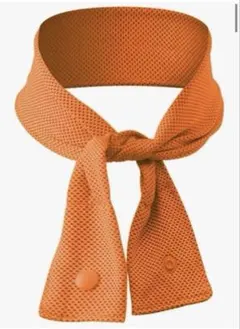 Item thumbnail for item fdd48542-8f10-4de4-9cc3-cd752563dc1f