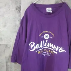 半袖TシャツUSA古着ビッグオーバーサイズパープル2XL　A15,8