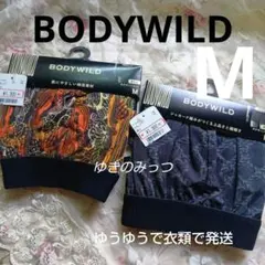 BODYWILD　ボクサーパンツ　M2枚　前とじ　GUNZE　グンゼ　綿混　エロ