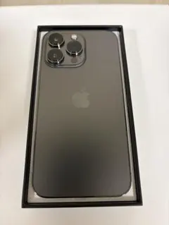 Apple iPhone 13 Pro グラファイト 256GB