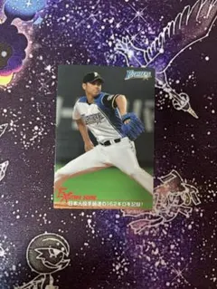 シ*ー様 大谷翔平 プロ野球チップス トレーディングカード