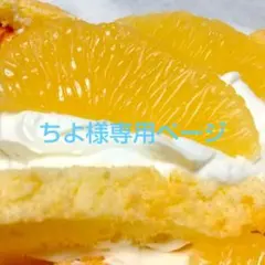 ちよ様専用ページ、ケーキ、和菓子、パフェ、他、シフォンケーキ、サンド各種