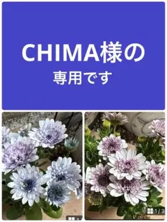 CHIMA様 リクエスト 2点 まとめ商品