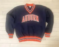 Item thumbnail for item 4de970e6-8293-44dd-b374-2b739dadf35d