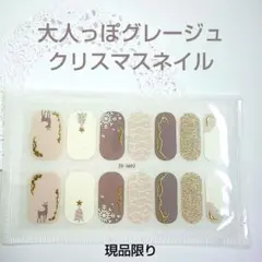 627 大人っぽ グレージュ クリスマスネイル 3D ジェルネイルシール